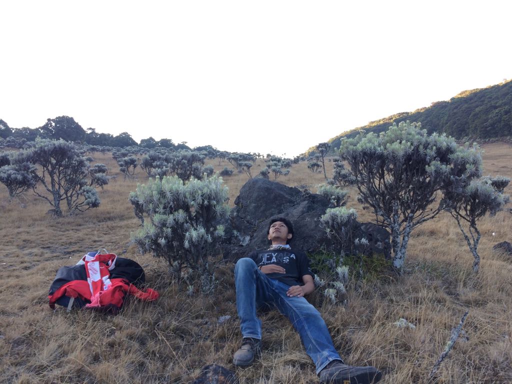 Pendakian Gunung Gede